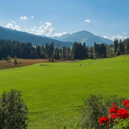 Wald Am Kitzbuhel