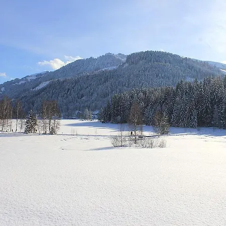 Wald Am *