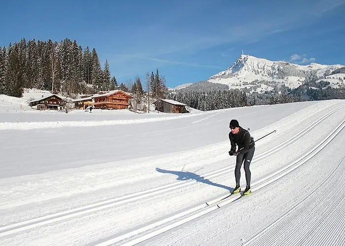 Wald Am * Kitzbühel